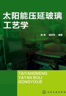 婚爱入骨