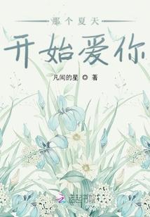 精灵：六式开局的训练家