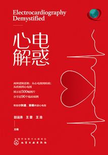 神偷大盗俏粉佳人