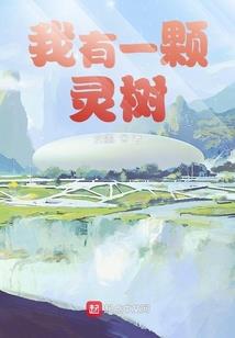 不凡之旅