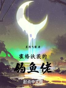 终极三部曲之总盟主雪兰