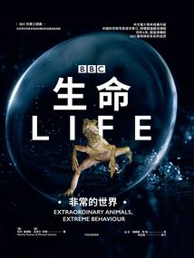 爱的转角遇到你