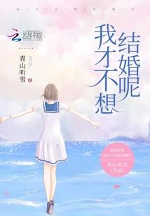 申林号