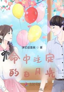 魔法老师之夜天