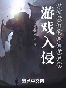 问题解决专家