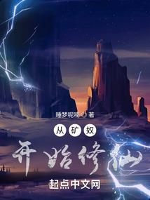 神奇宝贝之黎明曙光
