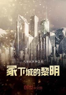 二次元宅男的魔法之旅