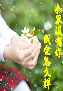梦回千古浅凝著