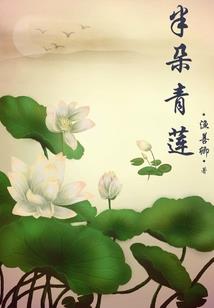 还是别露面的好