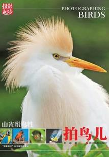 极品全能双瞳