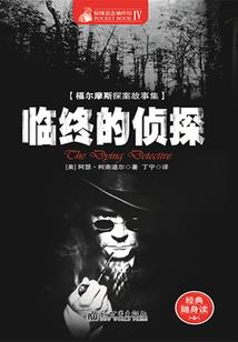 宠物小精灵之独孤天下