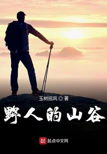 人在大宋，匡扶汉室