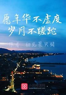 神奇宝贝梦的起点