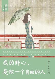 穿越农家记事