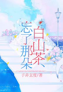 fate无家的僭越者
