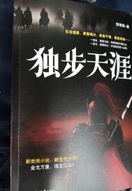 哈利波特之达力的逆袭