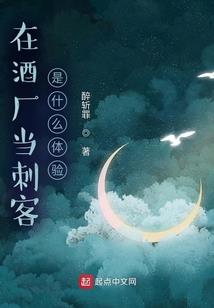 雇佣兵王护花记