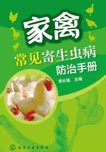 穿越古今寻爱之旅