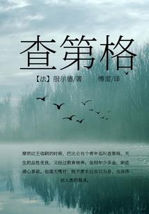 明日之流