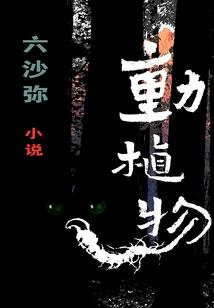 无良杀手之回归风云