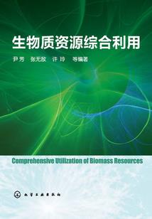 世界重启之初