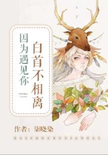 谁将锦瑟记素年